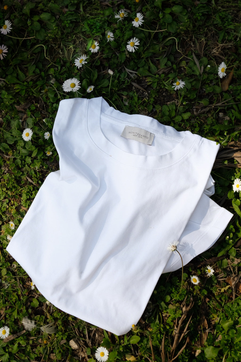 t shirt in filo di scozia di cotone da uomo made in italy