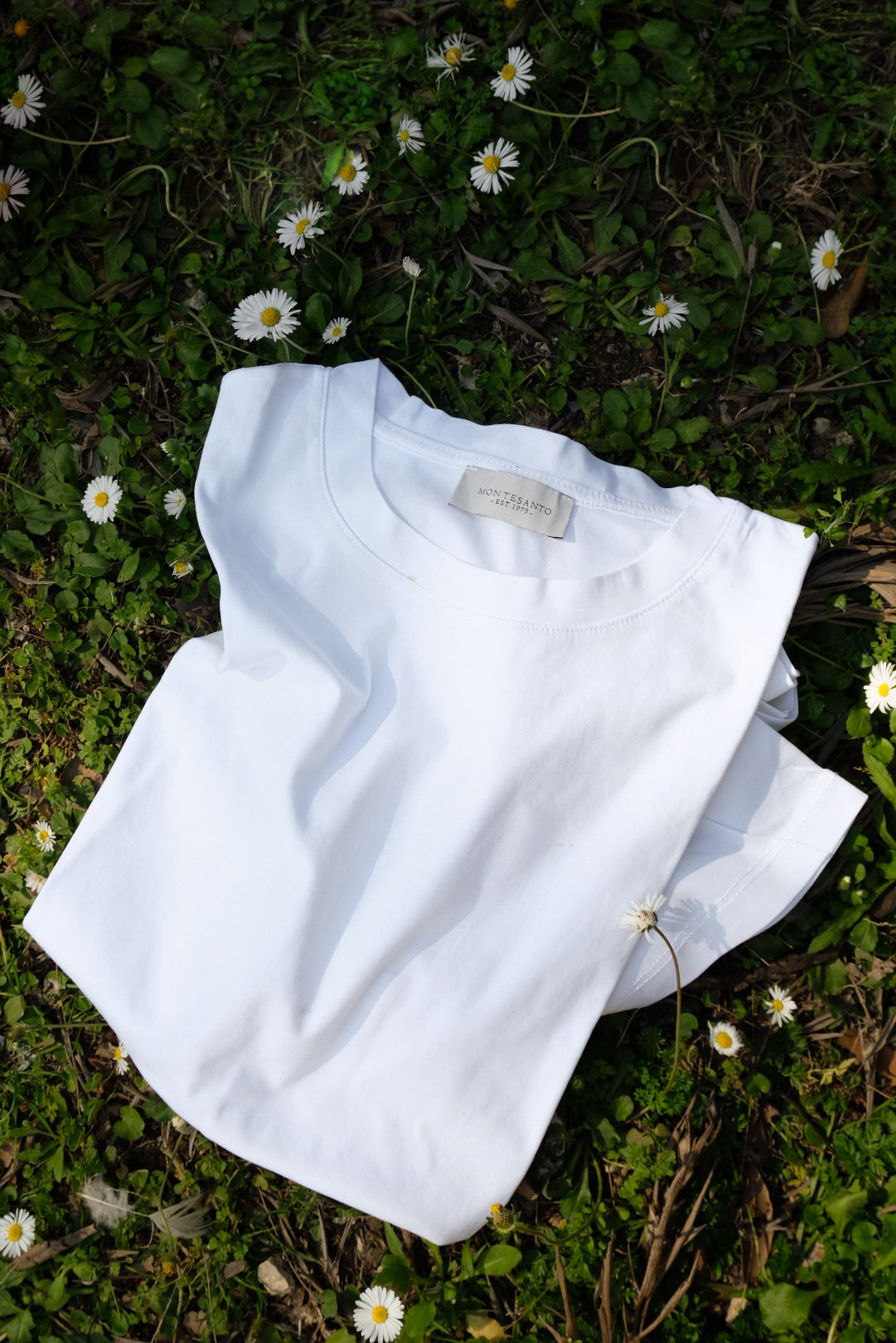 t shirt in filo di scozia di cotone da uomo made in italy