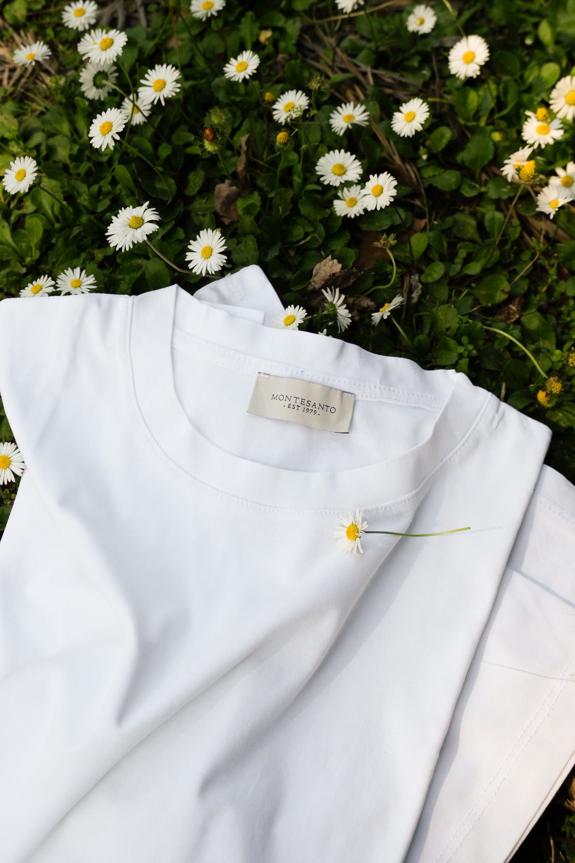 t shirt bianca in filo di scozia di cotone da uomo made in italy